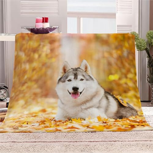 AKATIE 3D Heiser Kuscheldecken 100x130 Kinder Flauschig Decke Herbstwald Warm TV Decke Weich Plüsch Leichte Babydecke Microfaser Flanell Decke Sofadecke
