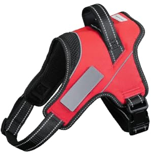 Liberte harness Hundegeschirr, kein Ziehen, Namensschild, aufsteckbar, Größe XXL, 22,7–29,9 kg