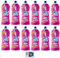 12x Ace Candeggina Più +Denso Armonie Floreali - igienizza superfici e bucato in profondità - Bottiglia Squeeze 1Lt + 1 Confezione di Talco Felce Azzurra in omaggio, Busta da 100g