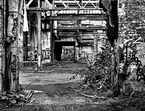 hansepuzzle 65196 - Lost Places Puzzle 1000 Teile - Industrie-Puzzle mit hochwertiger Aufbewahrung: Kartonbox und wiederverschließbarem Beutel - Format 60 × 46 cm