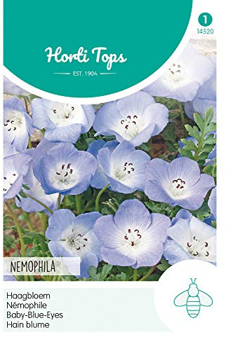 Hortitops 14520 Hain Blume Blau (Blumensamen)