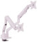 Pixio PS1D Wave - Supporto da scrivania per monitor fino a 32 e fino a 9 kg, compatibile VESA e gestione dei cavi integrata, colore: Rosa