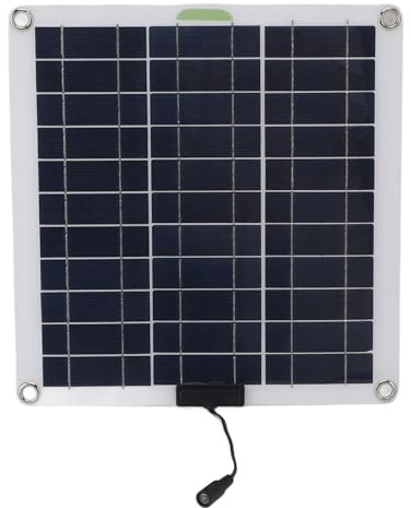 BAOFUYA Chargeur de Batterie Solaire 200 W, Panneau Solaire Monocristallin avec Prise OBD pour Camping en Plein Air et Camping-Car