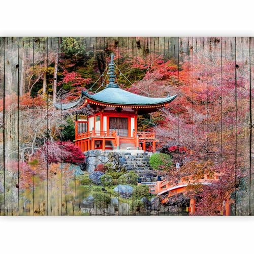 murando Fotomurales 400x280 cm XXL Papel pintado tejido no tejido Decoración de Pared decorativos Murales moderna Diseno Fotográfico Jardin Naturaleza c-C-0143-a-a