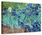 Bilderdepot24 Bild auf Leinwand | Vincent van Gogh - Iris in 80x60 cm als Wandbild | Wand-deko Dekoration Wohnung alte Meister | NEU-180223-80x60-iri