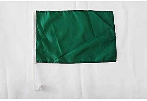 AZ FLAG - Autofahne Einfarbig Grün - 45x30 cm - Einfarbig Autoflagge 30 x 45 Cm - Auto Flaggen