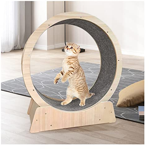DOZPAL Katzenlaufrad Katzenlaufband mit Greifpolstern und Feststellvorrichtung für Katzen im Innenbereich, Katzenlaufrad aus Holz für die Gewichtsabnahme und die tägliche Bewegung von Haustieren