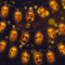 TZQFROCE Geister Halloween Deko 3M mit 20 LED Halloweentotenkopf Schnur Lichter Halloween Schädel Lichterkette Halloween Deko Garten Totenkopf Lichterketten für Deko Outdoor Indoor