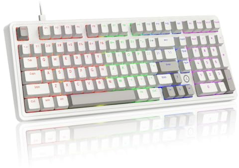 AJAZZ AK980 97% kabelgebundene mechanische Tastatur, Dichtung | Red Switches 45 gf, NKRO 1000 Hz, zweifarbige Tastenkappen, USB-C, Retro-Grau-Weiß-Numpad, volle Größe, Kontrolle, Büro