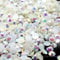 Little Snow Direct® Pack of 1000 Jelly AB Flat Back Rhinestones Diamante Gems Nail Art & Crafts (White Jelly AB, 5mm)