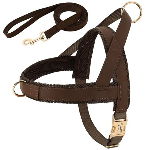 Individuell Graviertes Haustier-ID-Geschirr Und Leine-Set. Personalisiertes Hundegeschirr-Leinen-Set. Gepolsterte Hundegeschirr-Weste. Anti-Verlust-Nylon-Haustiergeschirr Und Leine-Set,Braun,S