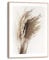 REINDERS Gerahmtes Bild, Sonniges Gras, Wohnzimmer, Bilder, Wanddeko, Room Decor, MDF, Beige, 40x30cm