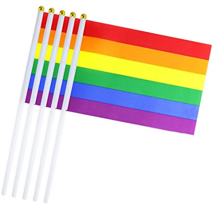 SunaOmni Drapeau Gay Pride Drapeau Arc-en-ciel Drapeau Arc-en-ciel Bâton Petit Drapeaux LGBT Portés à la Main Mini Gay Lesbienne Pride Festival 10 Pièces Rainbow Stick Flag