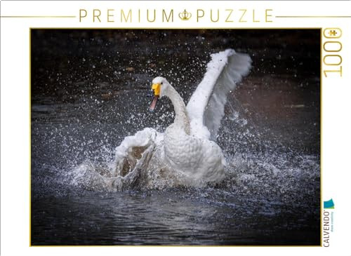 CALVENDO Puzzle Tanz 02 | 1000 Teile Lege-Größe 64 x 48 cm Foto-Puzzle für glückliche Stunden