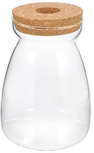 ULTECHNOVO Glas-Pflanzgefäß, Pflanzen-Anzuchtstation, Mikro-Landschaft, Terrarium, Behälter, Desktop-Pflanzgefäß, Hydrokultur-Vasen, Gartengeschenke für Pflanzenliebhaber (Größe L)