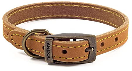 Ancol Timberwolf Premium Leather Dog Collar - Comfortable Durable Pet Training Accessory - Mustard Bridle Leather - Soft Supple Waterproof Treated - 28-36cm Size 3