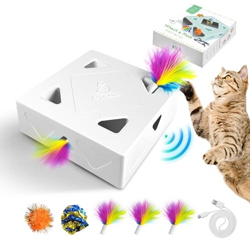 Migipaws Katzenspielzeug, interaktives elektrisches 7-Loch-Mäuse MigiBox, Intelligentes Federspielzeug,Pappspielzeug für gelangweilte Katzen,wiederaufladbar,4 Stück Feder Zubehör