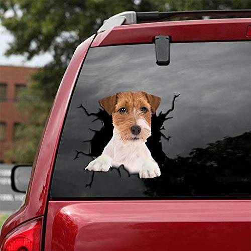 Ocean Gift Jack Russell Terrier Auto-Aufkleber, Wandaufkleber, 2 Stück, realistische Autoaufkleber, Design Serie 36, Größe 30,5 x 30,5 cm