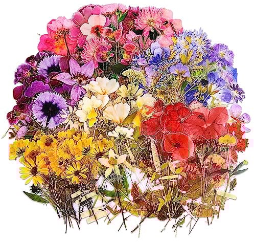 Prasacco 240 Stück Blumen Scrapbooking Aufkleber, Blumen Aufkleber aus Kunststoff Transparente Blumenaufkleber für DIY Scrapbooking, Tassen, Flaschen, Grußkarten und Lesezeichen(120 Stile)