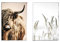 VTRXEG Highland Cow Leinwand, Modern Nordic Highland Kuh Kunstdrucke Poster,Für Wohnzimmer Schlafzimmer Wand Dekorative Bilder Ungerahmt (A, 2x40x60cm)