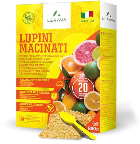 LERAVA Abono Cítricos 1,7kg - Fertilizante Natural de Altramuces Molidos para Limón, Naranjo y Plantas Acidófilas - Ideal para Mandarino, Kumquat y Pomelo - Mejora el Crecimiento y Follaje