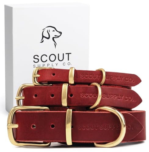 Klassisches Hundehalsband aus echtem Leder, Hundehalsband für mittelgroße Hunde, kleine Hunde, große Hunde und extra große Hunde, breites Hundehalsband, strapazierfähiges Halsband (Rot, Größe XXL)