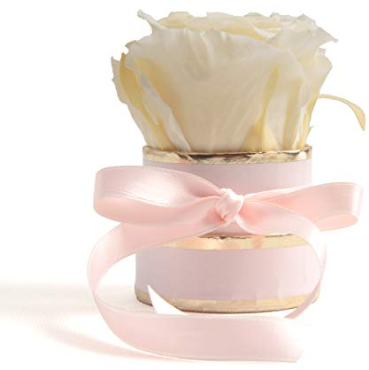 ROSEMARIE SCHULZ Heidelberg Kleine Rosenbox weiß rund Infinity Rose - Blumenbox 1 konservierte Rose (Rosa-Champagner)