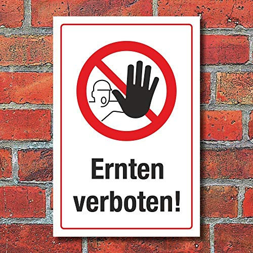 WERBEPUNKT. Schild Ernten verboten Diebstahl Hinweisschild 3 mm Alu-Verbund 450 x 300 mm