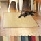 casa pura Katzen Kratzmatte 30 x 50 cm aus Natur Sisal Kratzteppich Kratzmöglichkeiten für Katzen Kratzmöbel für Wand oder Boden - robust & waschbar, Natur