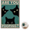 AzureRay Logo del gatto nero 30x20 cm, Decorazione da parete per bagno con gatto nero, decorazioni bagno divertenti, cartello WC ospiti in metallo