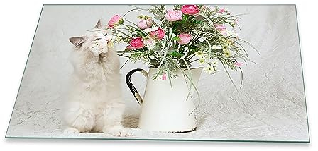 Herdabdeckplatte Abdeckung Ceranfeld Abdeckplatte Schneidebrett 1-Teilig 90x52 Katze Grau Spritzschutz Glasplatte Ceranfeldabdeckung Schutz für Kochplatten Herdschutz Sicherheitsglas Glasschneidebrett