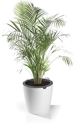 LAZY LEAF Der selbstgiessende Blumentopf - 1 Topf Ø 27,5 cm | Wasser einfüllen, Giessmenge einstellen - fertig | Intelligentes Bewässerungssystem per Touch-Control mit 10 Bewässerungsstufen