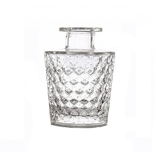Bouteille de diffuseur en verre transparent Bouteille vide Pot de diffuseur de roseaux d'huile essentielle Accessoires d'aromathérapie bricolage