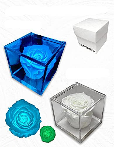 PREMIUM ROSE - Cubo Rosa Stabilizzata Blu Fosforescente 8 cm con Base in Microbolle - Rosa Eterna Stabilizzata Made in Italy - Idea per Persone Originali - Fosforescente A 1806