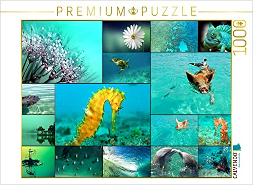 CALVENDO Puzzle Summertime | 1000 Teile Lege-Größe 64 x 48 cm Foto-Puzzle für glückliche Stunden