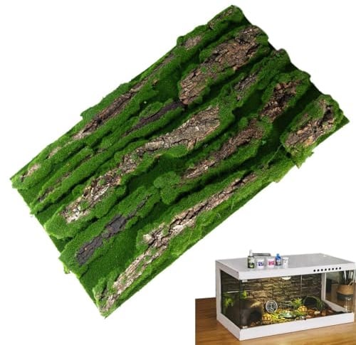 Reptilien Rückwand Reptilienrinden-Rückwand mit künstlichem Moos