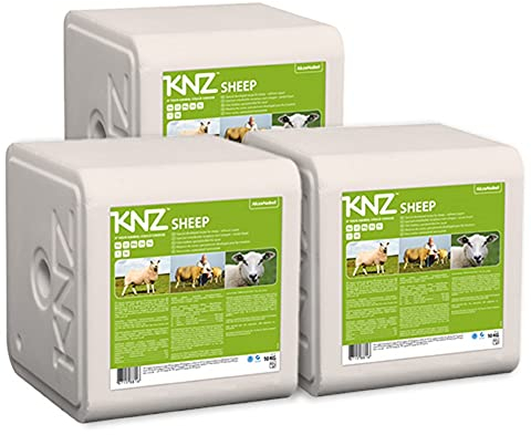 A&G-heute 30kg Leckstein Sheep 3 x 10 kg KNZ Mineralleckstein Mineralstein Salzleckstein Schaf Lamm Lämmer Nutztiere Weiss