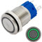 Lumonic Edelstahl Druckschalter flach 16mm Durchmesser I Mit einer Ring LED in Grün Maße: 2,8x0,5mm Pin s 250V 3A I Vandalismussicher nach dem IP65 St