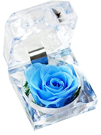 TOPPERFUN 1pièces Rose Verre sous Cloche avec Ruban Décoratif Fleur Préservée Faite Main pour Cadeau Saint-Valentin