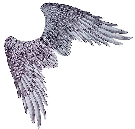 SHERCHPRY 1pieza Accesorios De Disfraz De Ángel Unisex De Ángel Negro Para De Halloween y Cosplay Decoración De Eventos