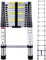 Telescopic Ladder 3.8M/12.5FT Multi-Purpose Aluminium Extendable ladders Adjustable Height Loft Ladder Portable Sturdy Folding Ladder for Replace Window Roof Repair