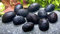 Daxton-Plant 5 Anthrazit-Napfschnecke, Algenfresser, Marke Daxton-Plant, Rennschnecken