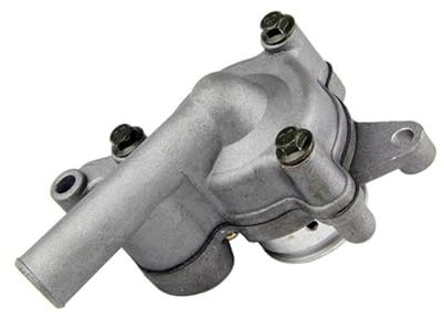 Gruppo pompa acqua compatibile con LH250 LH260 LH300 LH400 Scooter ATV Go Kart Buggy 170M.15 22820