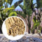 Happers Palissade en bambou naturel 110 x 200 cm Grande résistance.