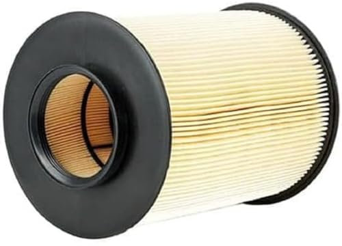 Bosch S0625 - Filtro Aria