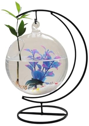 GLigeT Aquarium Complet Aquarium décoratif de Bureau Suspendu en Verre Transparent, Rond avec Base de Cadre plié en métal Noir Bac à Poisson