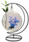 GLigeT Aquarium Complet Aquarium décoratif de Bureau Suspendu en Verre Transparent, Rond avec Base de Cadre plié en métal Noir Bac à Poisson
