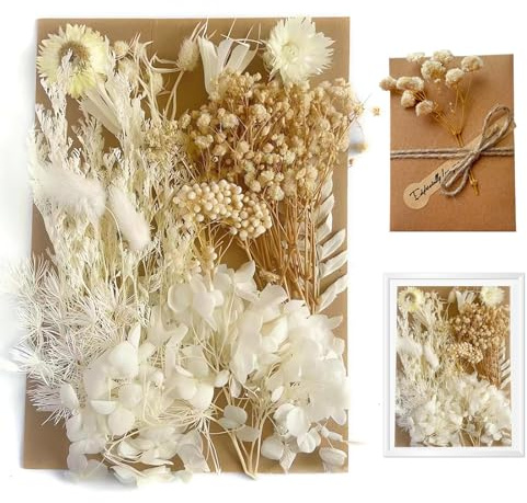 DHWEKU Natürliche Trockenblumen zum basteln Klein Beige,Strohblumen getrocknet Zum Basteln für DIY-Kerzenharz, deko hochzeitsgeschenk,Karten Deko,Trockenblumen Weihnachten,Geschenkverpackungen