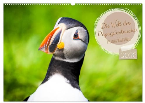 Die Welt der Papageientaucher - Islands Wildvögel (Wandkalender 2026 DIN A2 quer), CALVENDO Monatskalender: Papageientaucher: Die beliebten Seevögel Islands (CALVENDO Tiere)