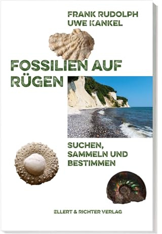 Fossilien auf Rügen: Suchen, Sammeln und Bestimmen
